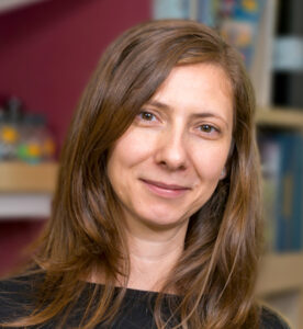 Formal headshot of faculty member Yasemin Sancak.