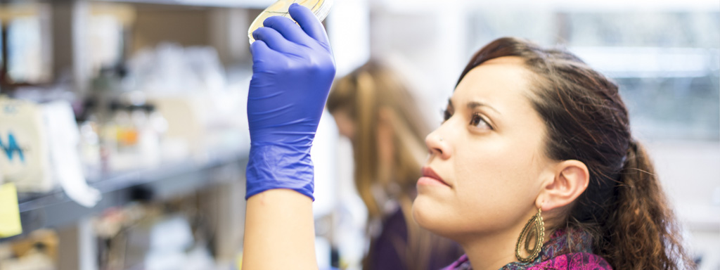 Molecular & Cellular Biology Graduate Program – University of Washington