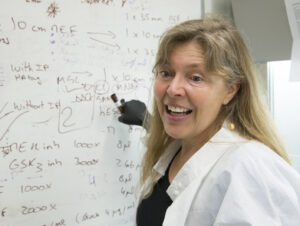 Headshot of faculty member Hannale Ruohola-Baker pointing to whiteboard.