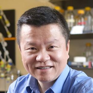 Formal headshot of faculty member Ning Zheng in lab.