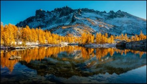 Image of snow covered mountain with yellow larch trees at the base of the mountain and a lake reflecting the mountain and trees.