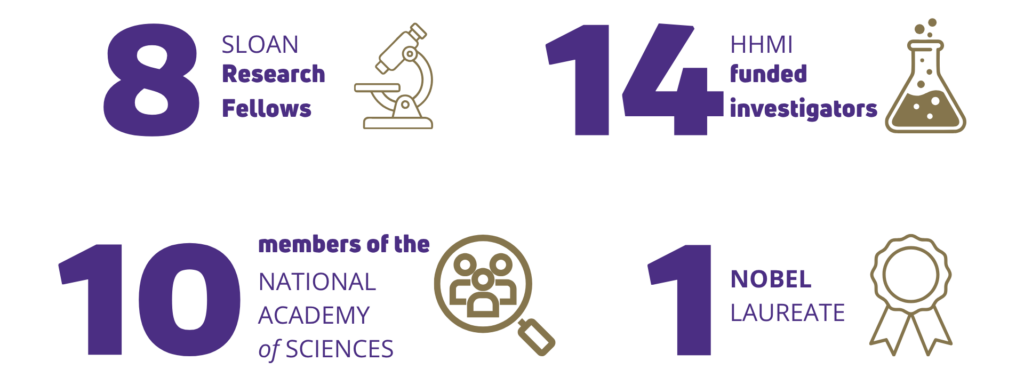 Infographic showing numbers related to research achievements for MCB faculty, including Sloan Research Fellows, HHMI investigators, National Academy members, and a Nobel Laureate.