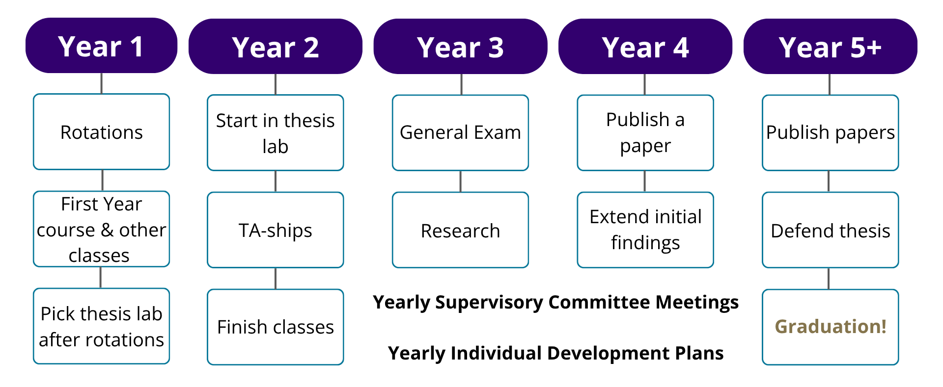 Flowchart detailing academic progression from Year 1 to Year 5+ for MCB program, including activities like thesis lab selection, exams, research, and graduation.